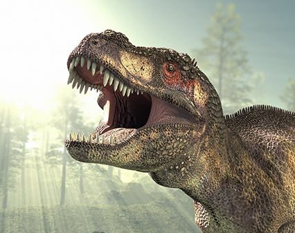 COMMENT BRUITER UN DINO ?